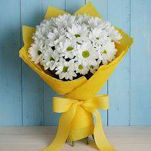 Букет цветов из:  Хризантемы #REPLACE_PRED# Пионерском
