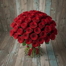 Букет 55 Красных роз Фридом #REPLACE_PRED# Пионерском