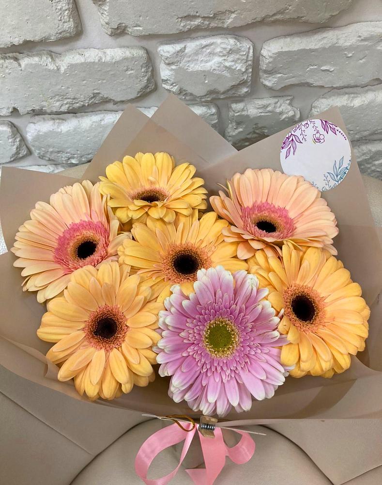 Букет цветов из: Герберы в Пионерском