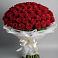 Букет 101 Красная роза Блэк Мэджик в Пионерском
