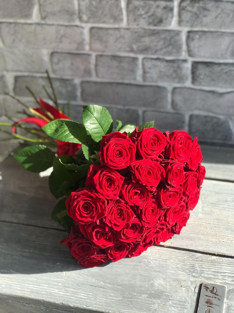 Букет Красные розы Фридом в Пионерском