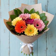 Букет цветов из:  Герберы в Пионерском