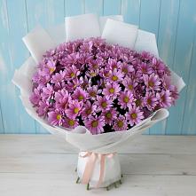 Букет цветов из:  Хризантемы в Пионерском