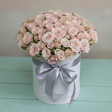 Цветочная композиция из Розы в шляпной коробке #REPLACE_PRED# Пионерском