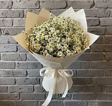 Букет цветов из:  Ромашки #REPLACE_PRED# Пионерском