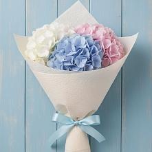 Букет цветов из:  Гортензия #REPLACE_PRED# Пионерском