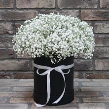 Цветочная композиция из Гипсофила в шляпной коробке в Пионерском