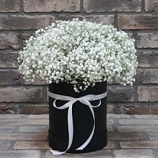 Цветочная композиция из Гипсофила в шляпной коробке в Пионерском