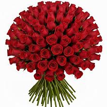 Букет Красные розы Чери Лав в Пионерском